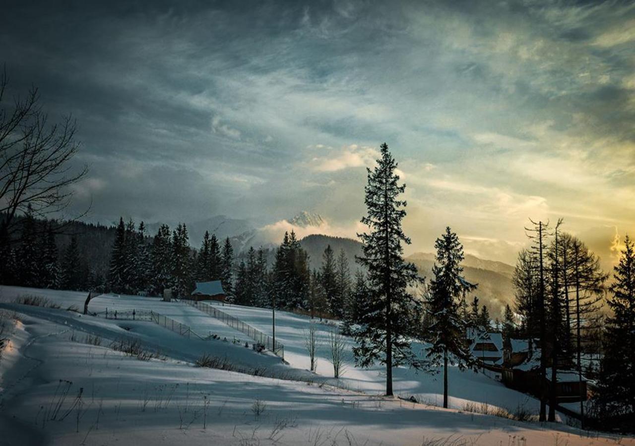 Apartamenty Toporowa Cyrhla Zakopane Exterior foto